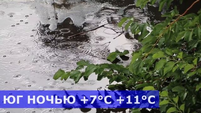 ПОГОДА НА 1 АПРЕЛЯ : ПОГОДА НА ЗАВТРА