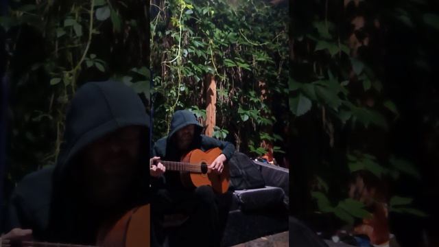 1000107801.mp4