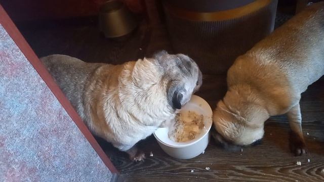 VID_20260709_195725_080513.mp4
