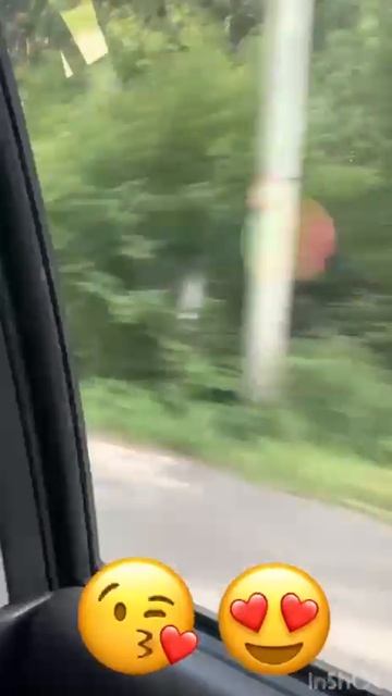 ПЕЛЬМЕШЕК едет на ДР моей бабушки🎉