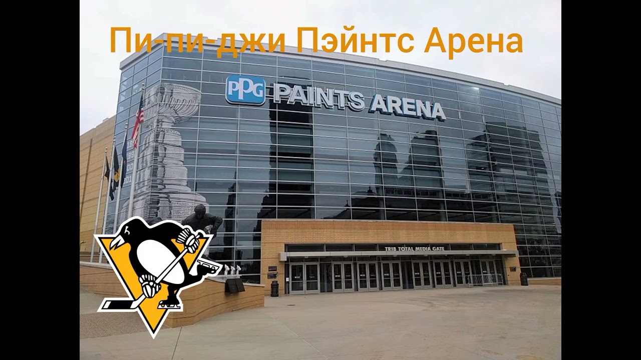 Хоккейные арены клубов NXL.