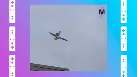 Полёт Двух Чаек — Идеальный Косплей «Титаника»