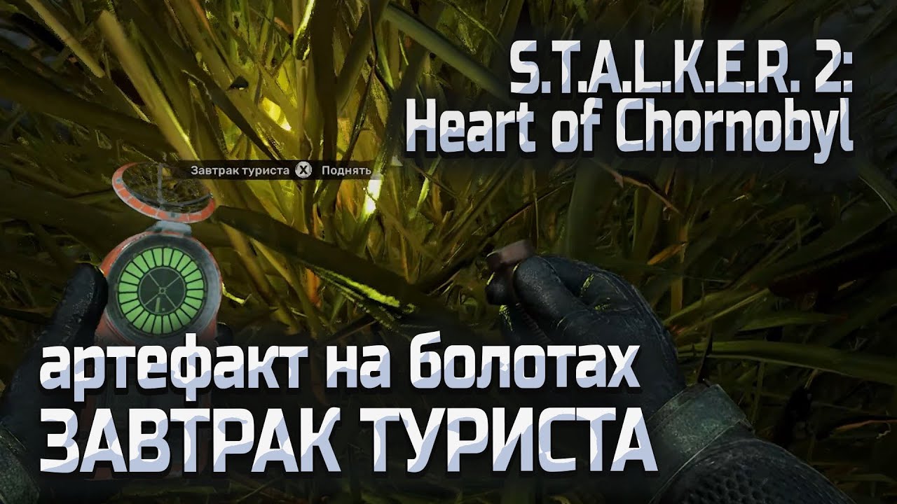 Артефакт ЗАВТРАК ТУРИСТА на болотах в Сталкер 2