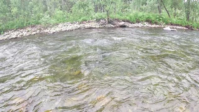 Большое Летнее приключение 2026.. Горная рыбалка на хариуса 2026.. часть №2🌄🐟😉👌