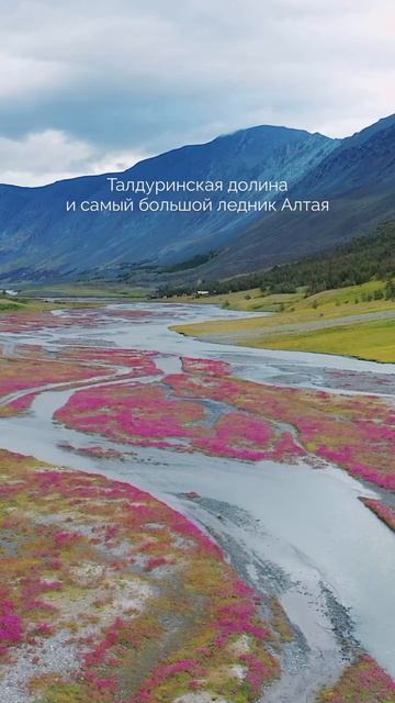 Талдуринская долина — одно из самых впечатляющих мест Горного Алтая #горныйалтай #путешествия #алтай