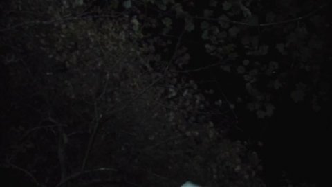 Джестер/Jester 2