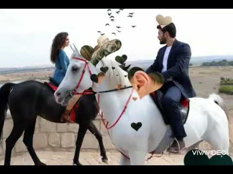 Миран и Рейан. Фанвидео. Ветреный.
