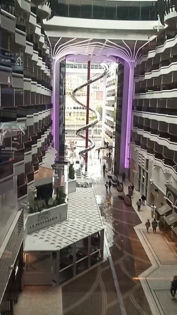 MSC WORLD EUROPA. Панорамные лифты