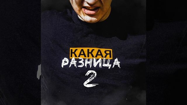 КАКАЯ РАЗНИЦА 2