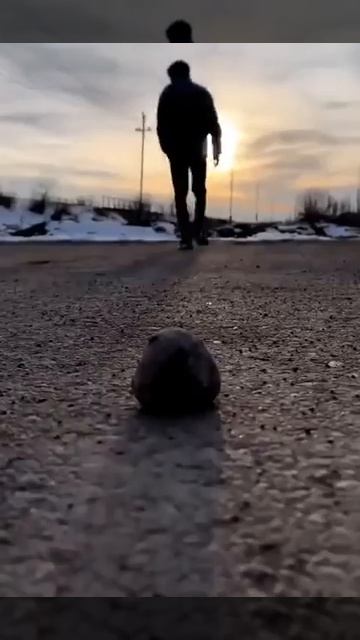 Промохнулся