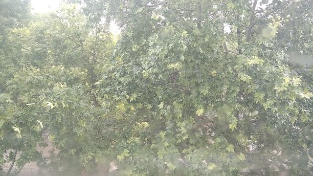 В Симферополе ливень. Авто плывут.