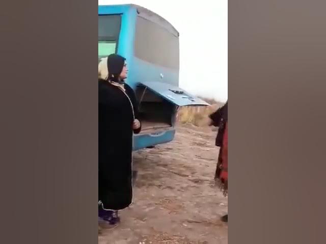 Номрои Шуша Дод 😂😂😂