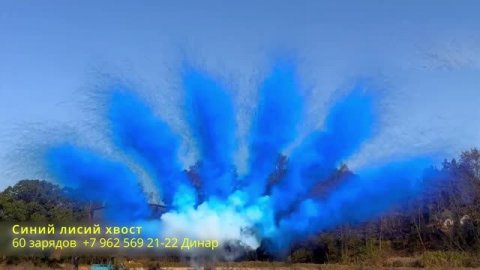 Синий лисий хвост 60 зарядов