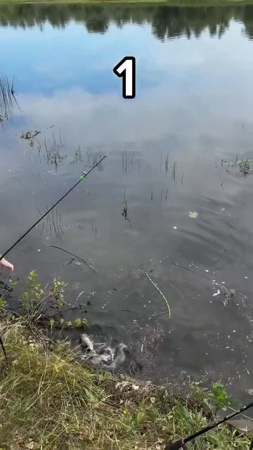 Когда жена рыбачка 🐠 😀