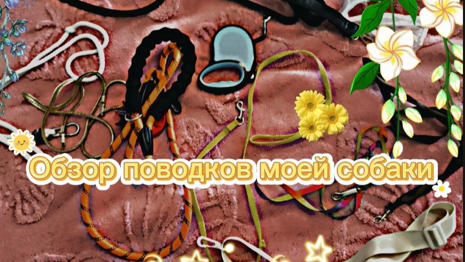 Обзор поводков моей собаки!