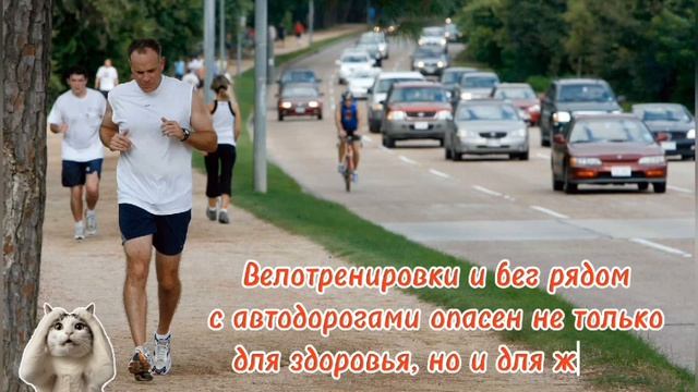 Возле автодорог