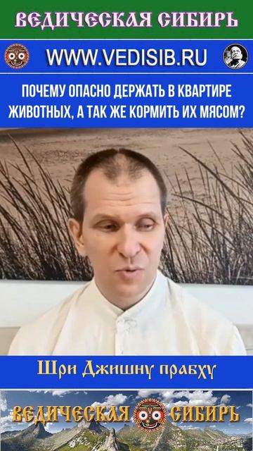 Почему ОПАСНО держать в квартире животных, а так же кормить их мясом?