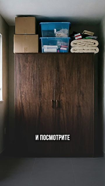 Сроки мебели на заказ