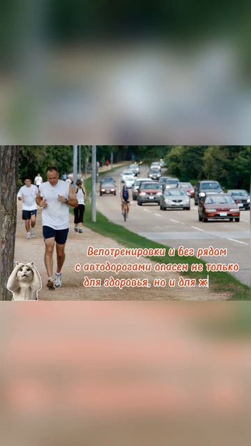 Возле автодорог