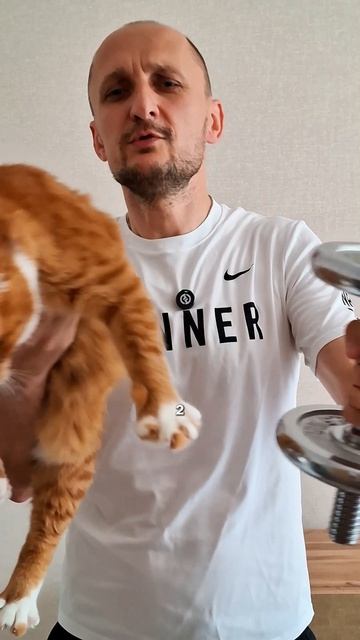 Коты и спорт