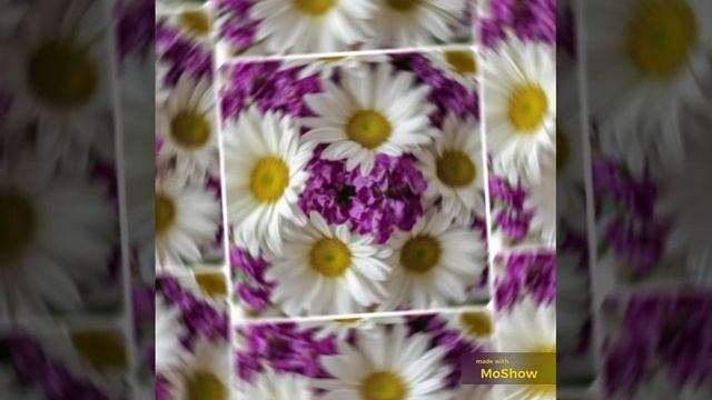 MoShow_20260711T195053.mp4