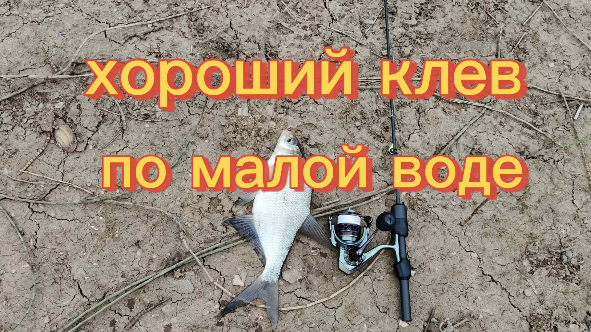 Хороший клёв по малой воде