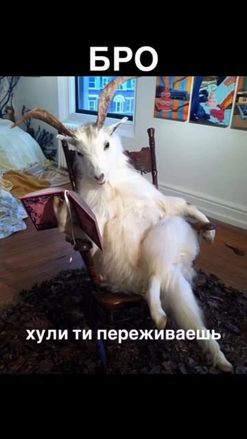 Блеск для губ @killtrend.official арт. #479578152