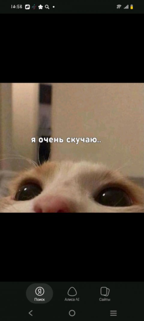 влог на 2 часа или больше