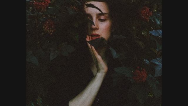 Milty - красные маки