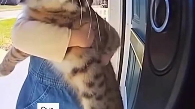 _poshla_ne_po_planu_yapfiles.ru.mp4