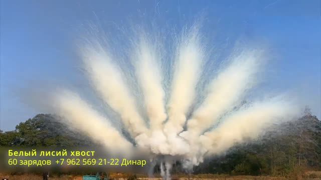 Белый лисий хвост 60 зарядов