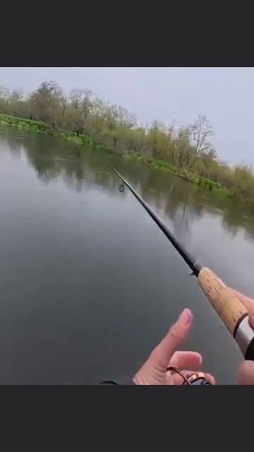 Рыбалка на Камчатке 🦈