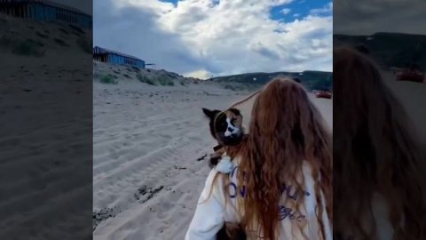 VID_20260711_164713_193.mp4