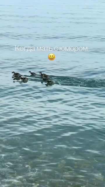 С юмором