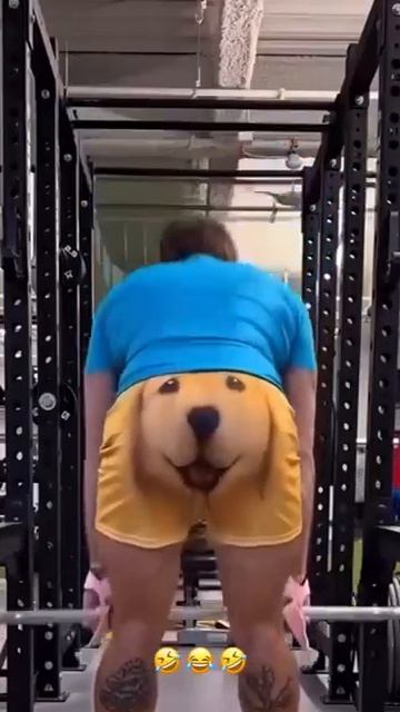 Собачище
