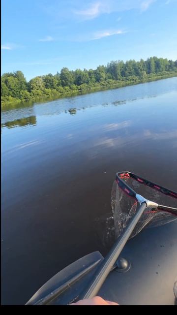 🌊 р.Волхов
📍 Новгородская область
🚩 Грузино
🎣 Спиннинг