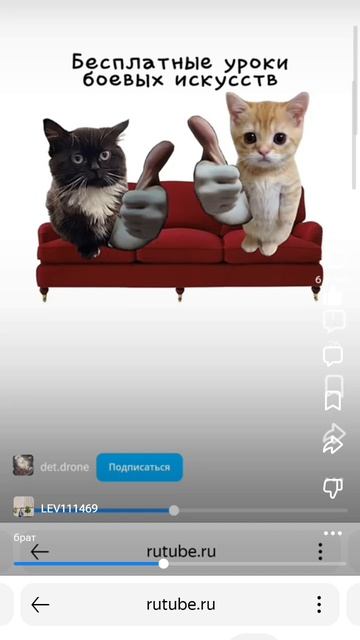 Зачем нужен брат