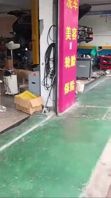 VID_20260711_161959_108.mp4