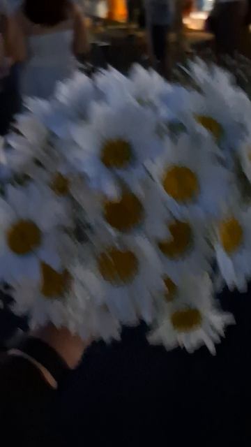 #ромашки #люблю