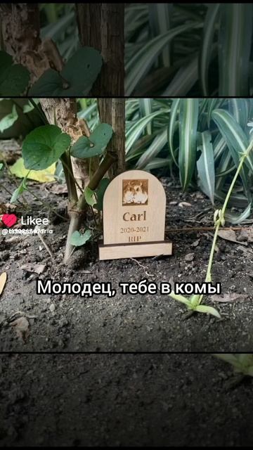 А