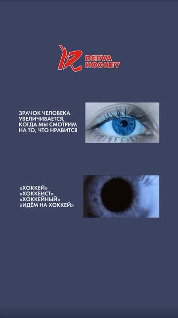 -9043703515055958622