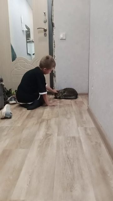 Котики😺😺😺😺😺😺😺😸