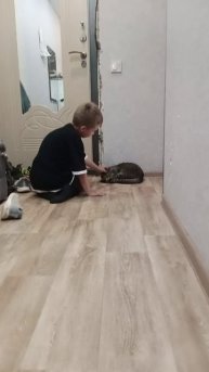 Котики😺😺😺😺😺😺😺😸
