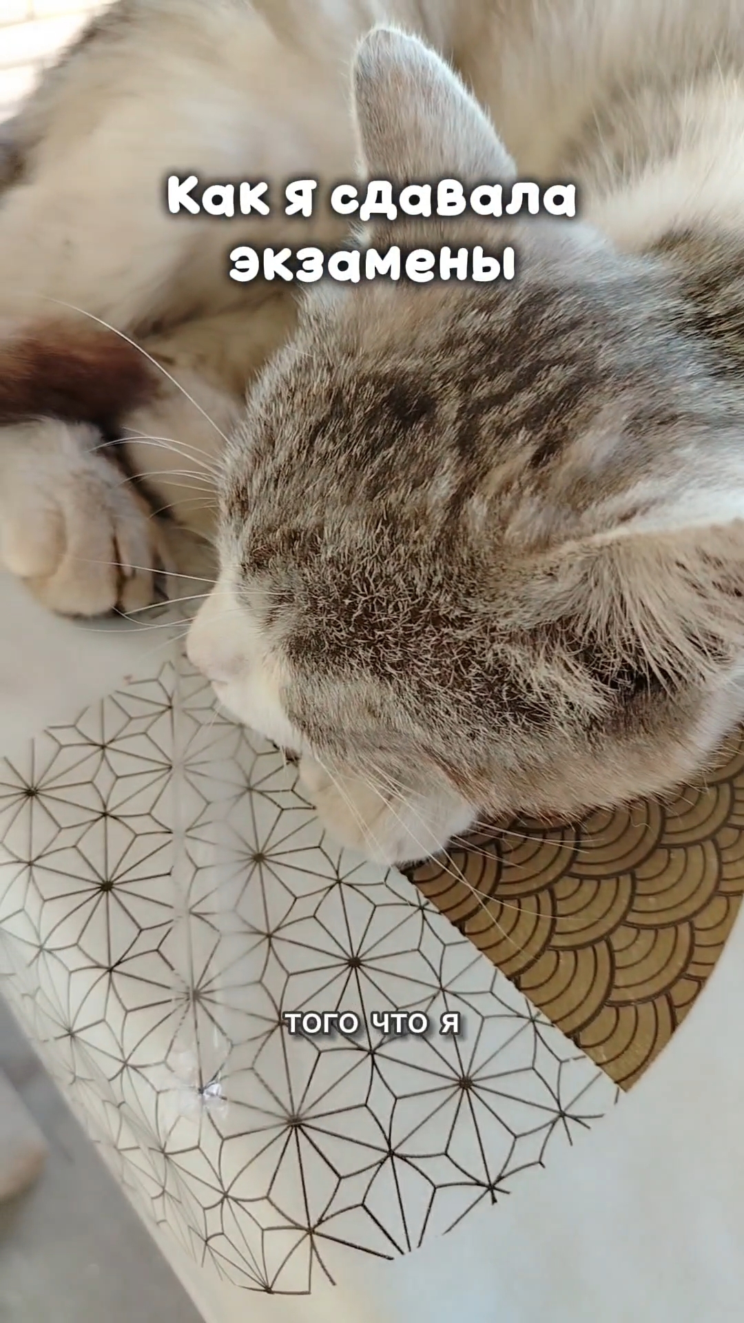 я свободна...
