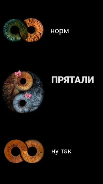 1000241855.mp4