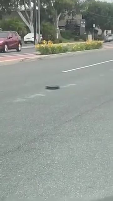 У КОГО УБЕЖАЛ УМНЫЙ ПЫЛЕСОС С ХОРОШИМ ХАРАКТЕРОМ.