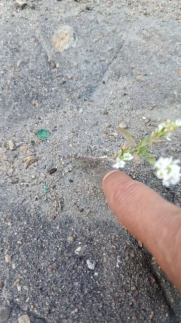 Нужно не опускать руки, а стремиться к небу