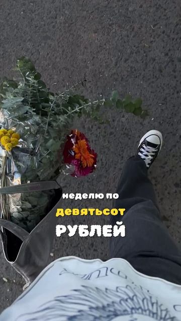 Почему живой букет — это отложенные похороны, а сухоцветы живут годами