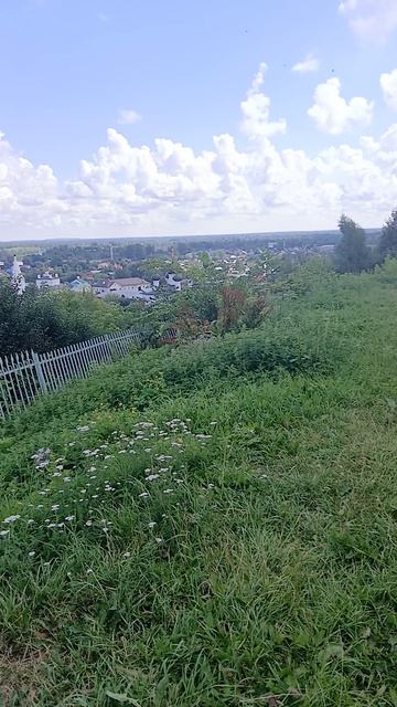 Гороховец