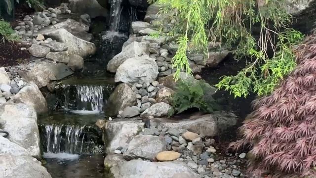 Водопад и рыбки в частном доме США.mp4